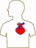 heart01.jpg